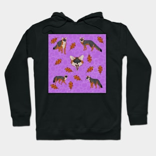 Grey Foxes Purple Hoodie